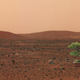 Illustration for article titled NASA Wants to Send Plant Life to Mars in 2020